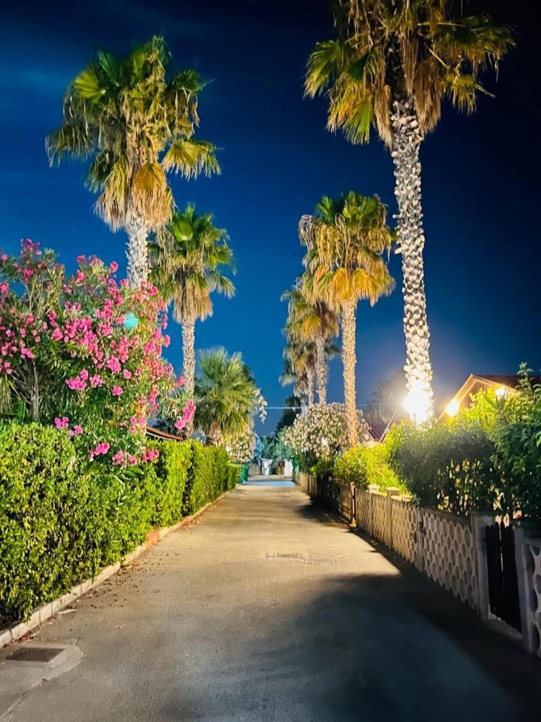 Villa Nicole 玛格丽塔萨沃亚 外观 照片